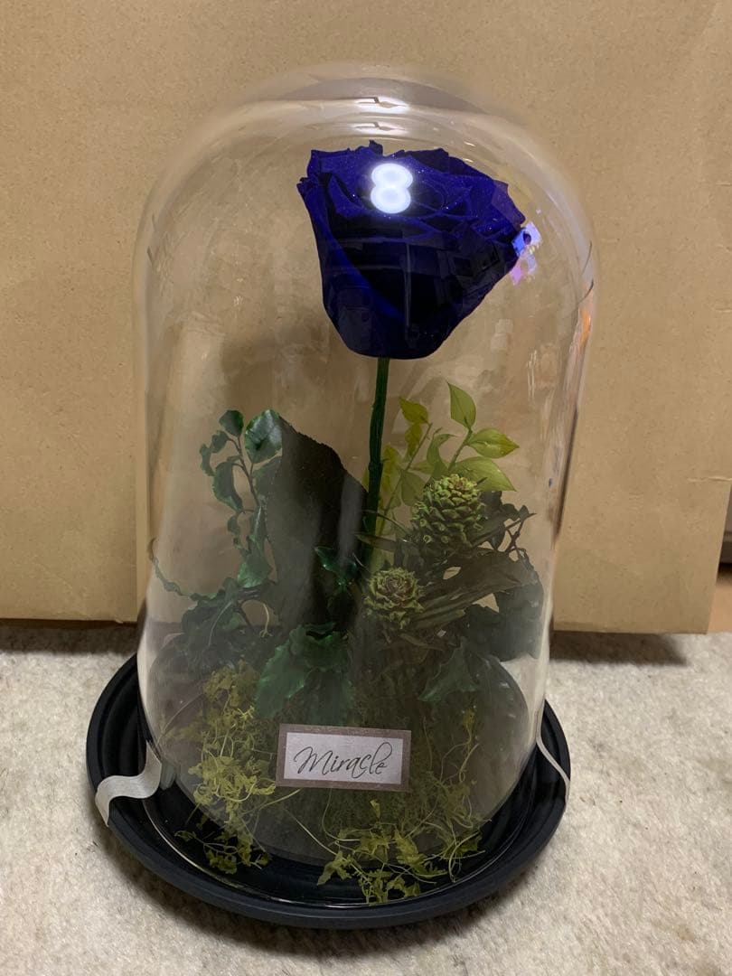 青い薔薇プリザーブドフラワー ガラスドーム付き Miracle