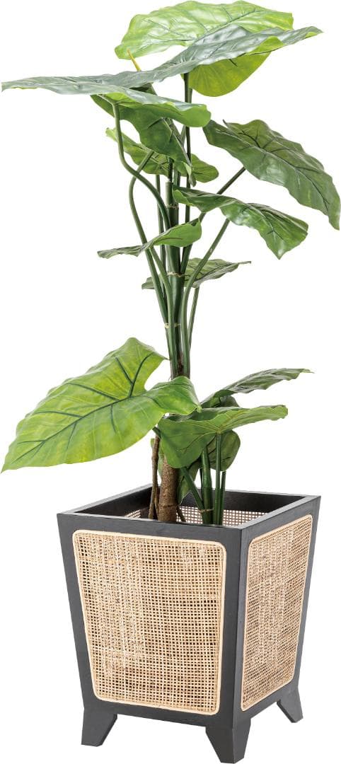 プランターカバー ラタン 木製 室内 おしゃれ 足付き GUY-924 N01