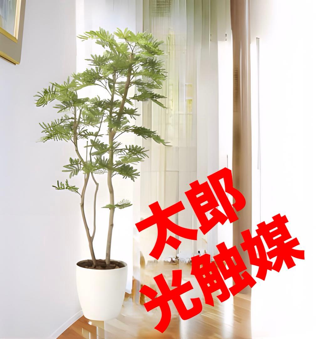 光触媒　人工観葉植物　ウォールグリーン　フェイクグリーン　ねむの木1.6m