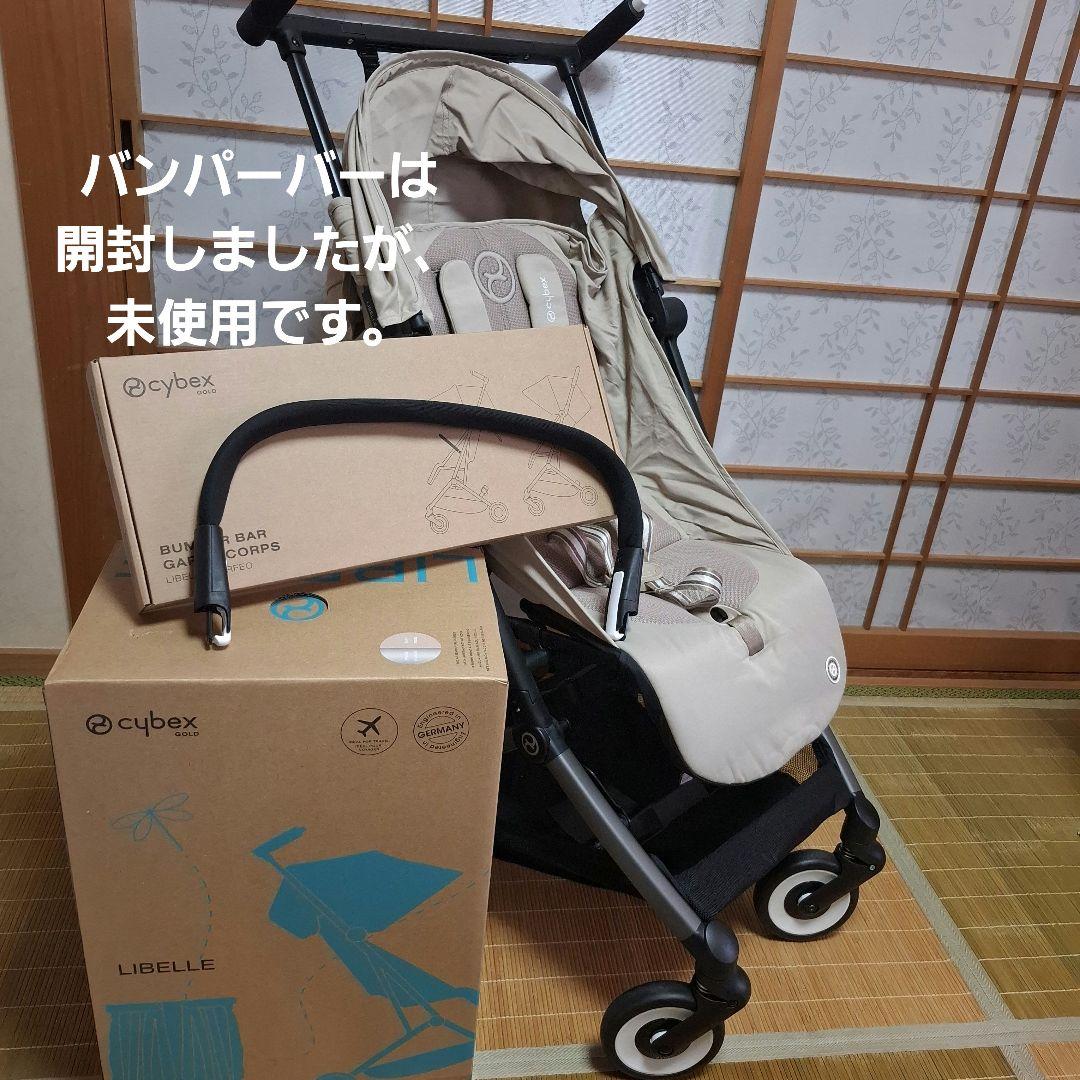 サイベックス　リベル　2024年モデル超美品！