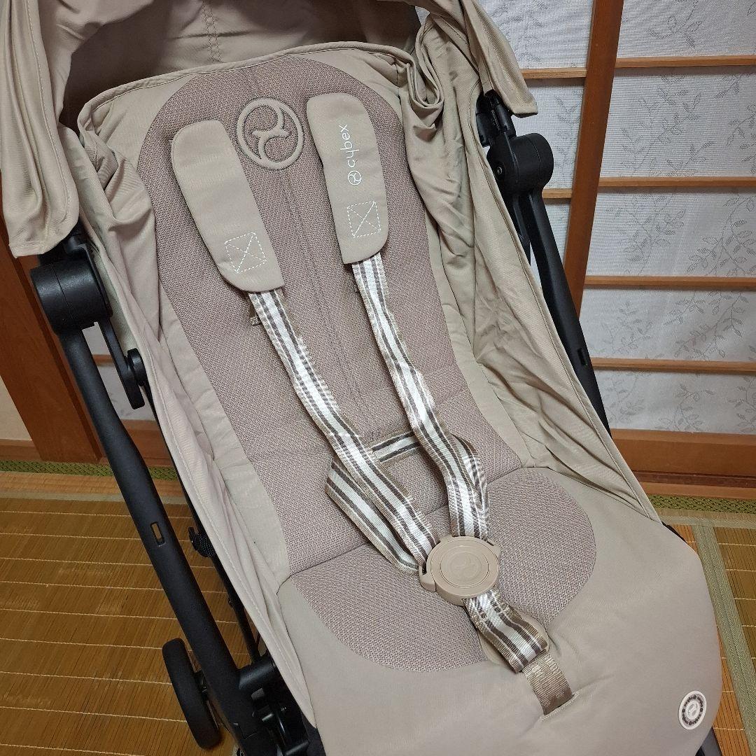 サイベックス　リベル　2024年モデル超美品！