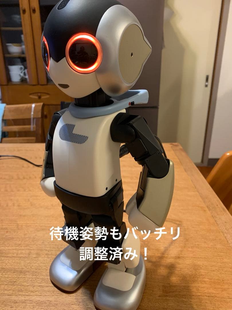 H*i様 ロビ 2DX版　バッテリー不要、外部電源完動品　オーナー愛称登録してお