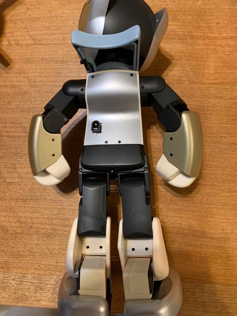 H*i様 ロビ 2DX版　バッテリー不要、外部電源完動品　オーナー愛称登録してお