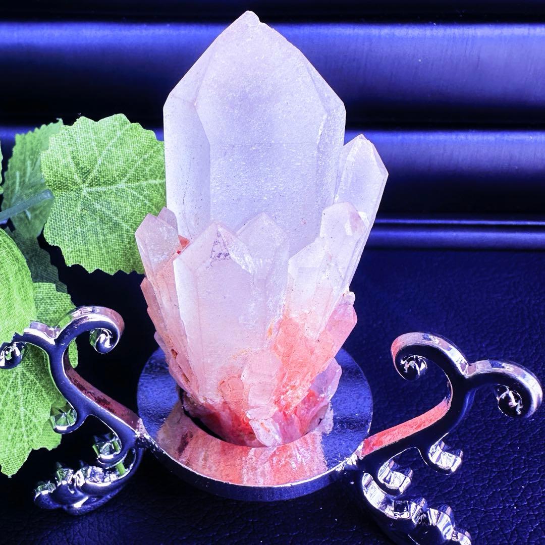 爆アレ❗️可愛いピンク♡超綺麗マダガスカル産パイナップルピンククラスターA1489