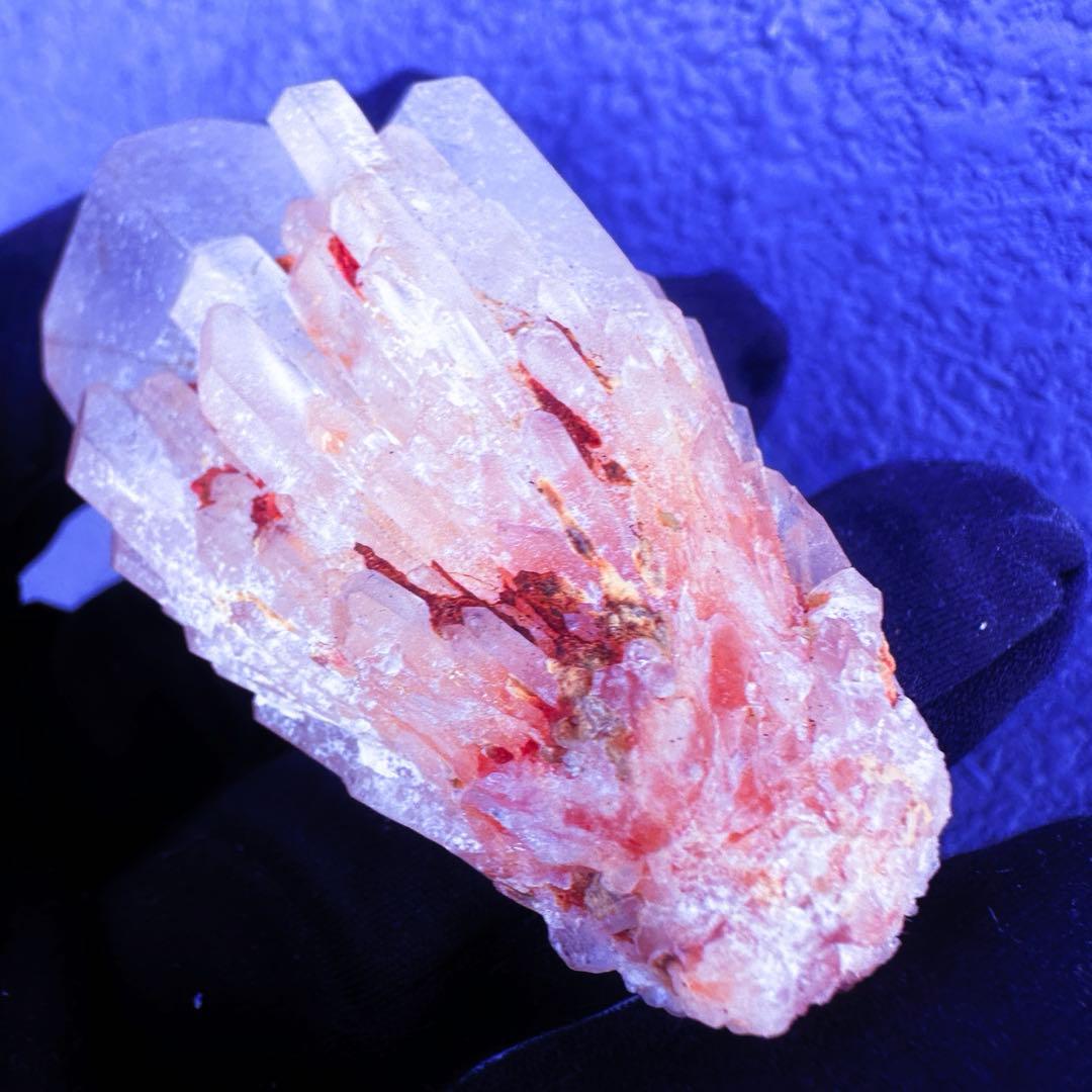 爆アレ❗️可愛いピンク♡超綺麗マダガスカル産パイナップルピンククラスターA1489