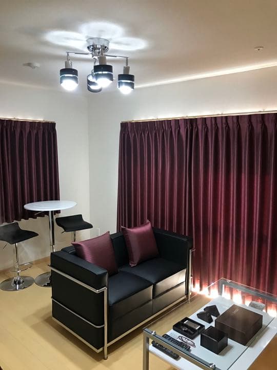 高機能カーテン(紫外線カット)×8枚＋クッション×2個