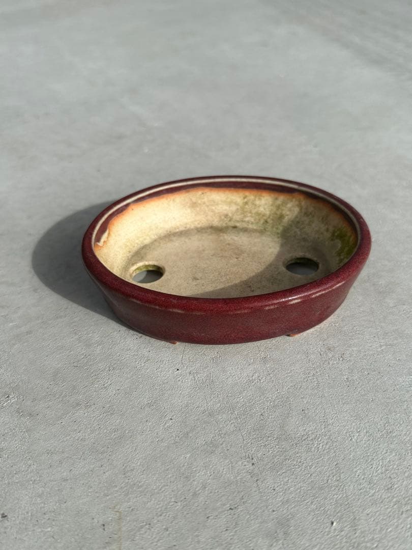 【名工】常滑焼 美功 盆栽鉢 4点まとめ売り 小品盆栽 梨地 貫入 海鼠釉