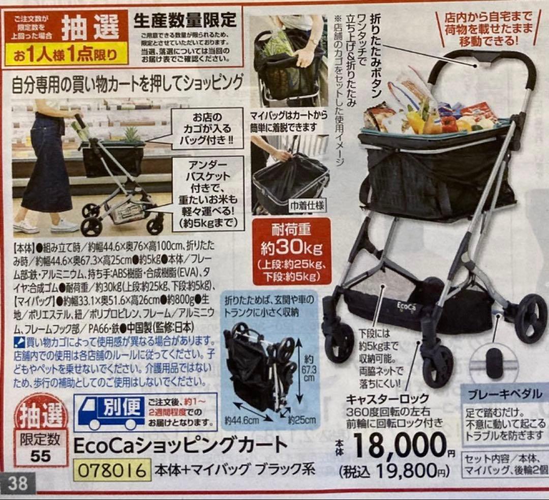 EcoCa エコカショッピングカート 保冷バック付き　美品　即日発送
