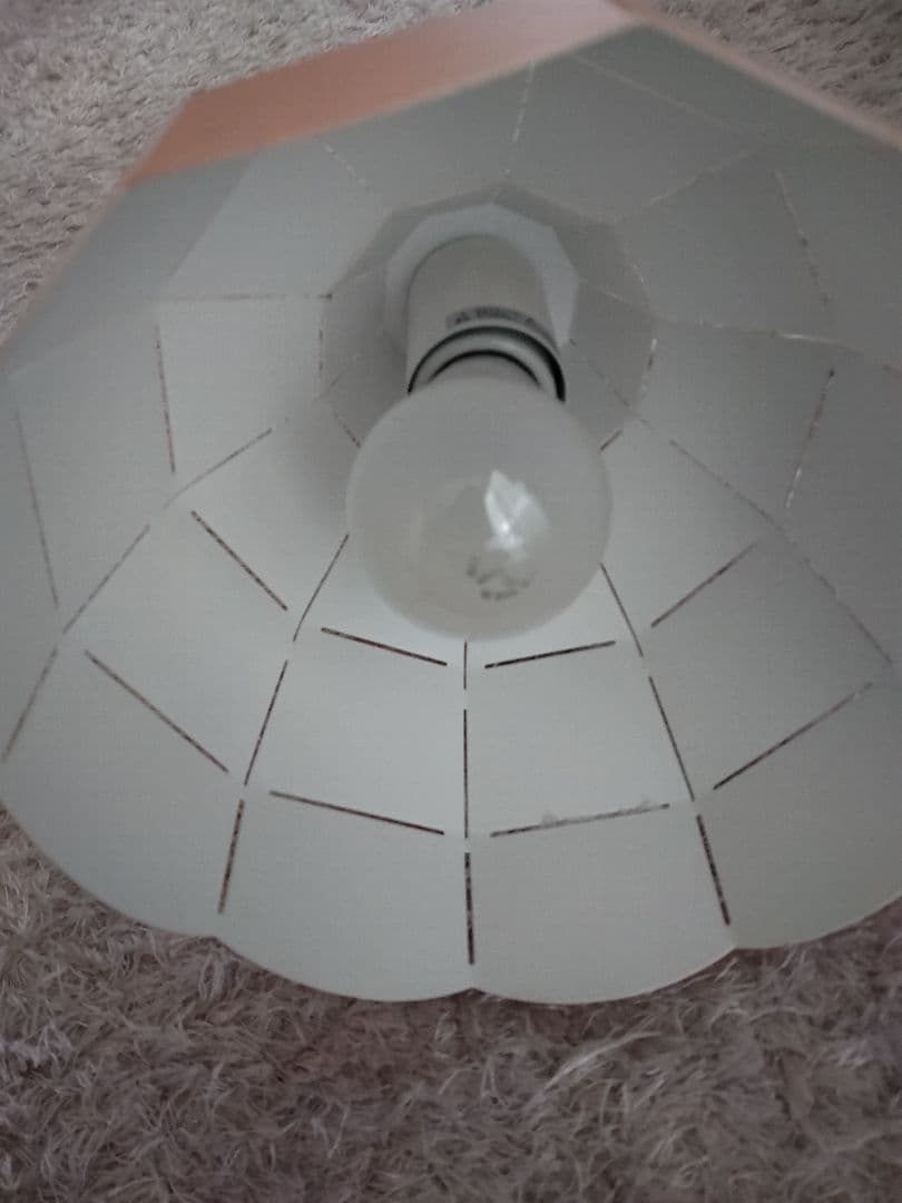 francfranc　インテリアフラワー照明