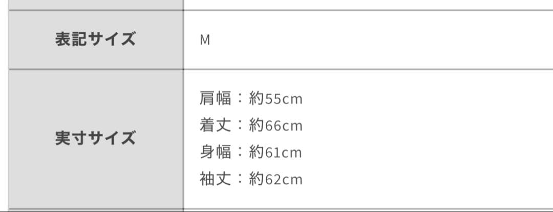 AVIREX MA-1 アビレックス　ファイターフォトタイプ