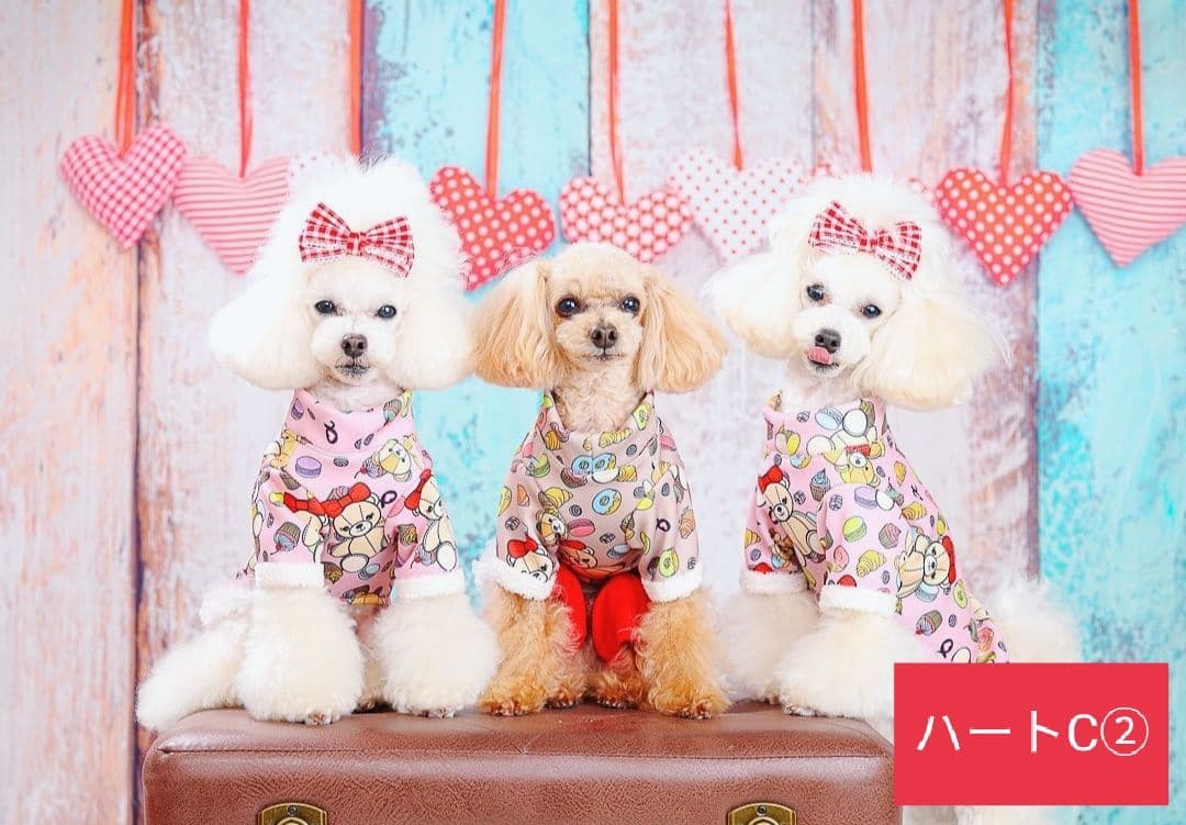 背景布　【　ハートG　】　サンプル　バレンタイン、ニューボーンなど♪