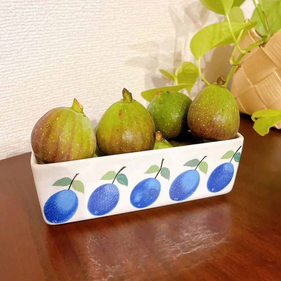 グスタフスベリ【超レア｜ヴィンテージ】プルーヌス バターケース★北欧 食器