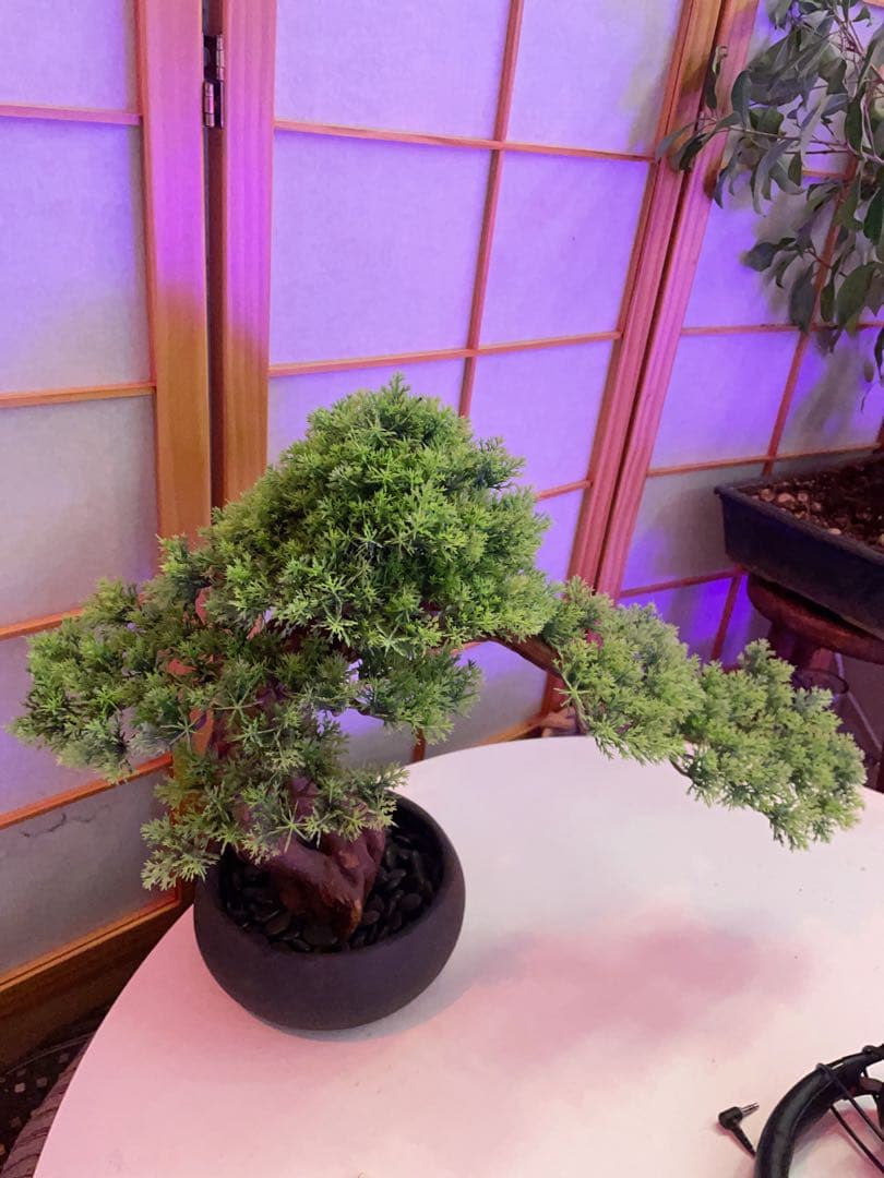 人工観葉植物 盆栽風 中型 緑