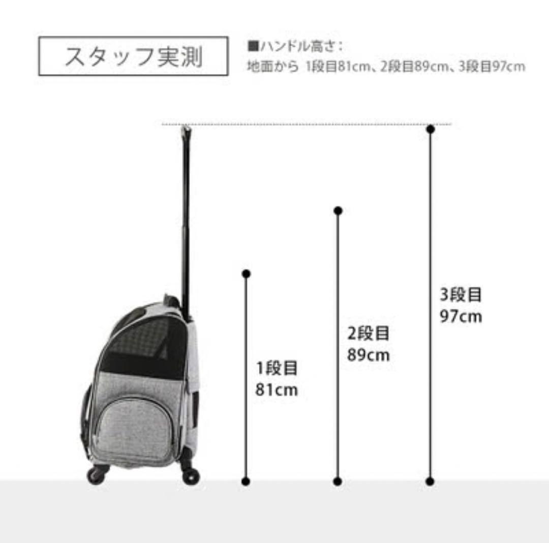 AIRBUGGY キャリーバッグ グレー