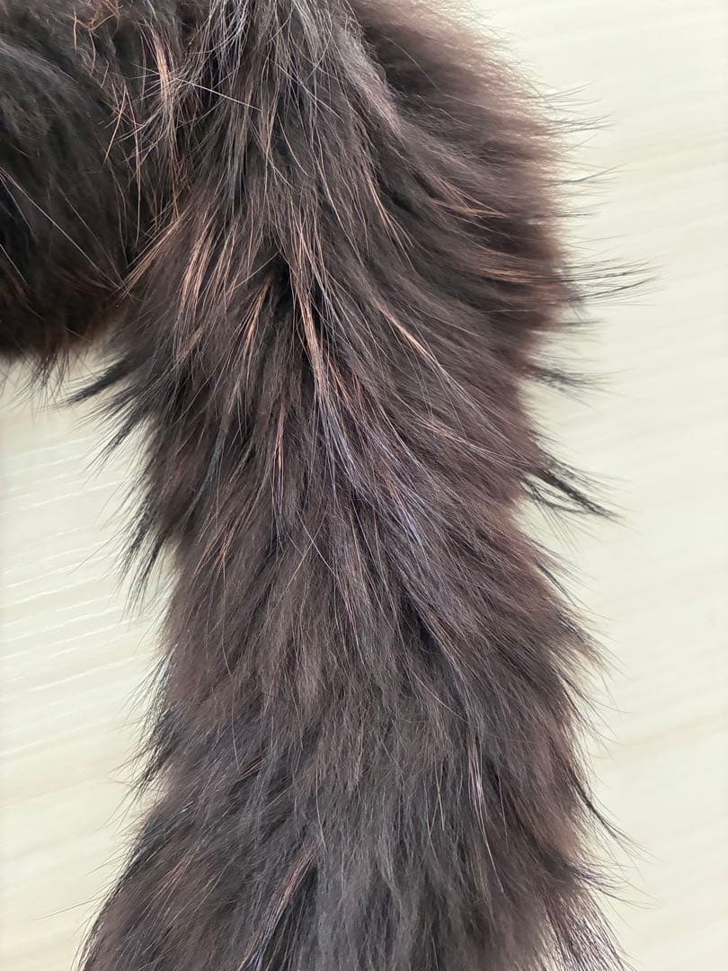 ジ*ー様 TATRAS ダウンジャケット