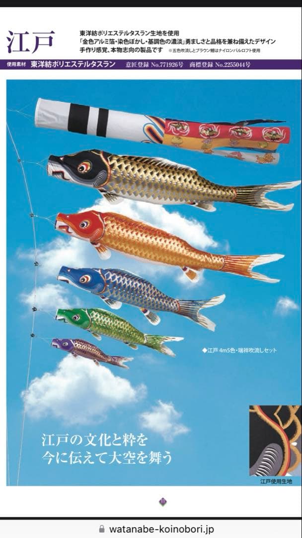 江戸6m5色・瑞祥吹流しセット こいのぼり 鯉のぼり