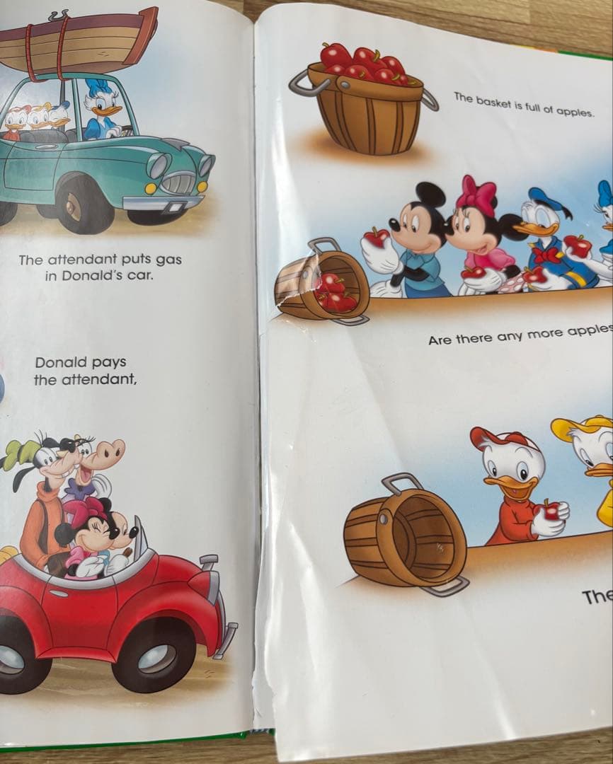 【11月8日まで限定価格】DWE BOOK &ペン