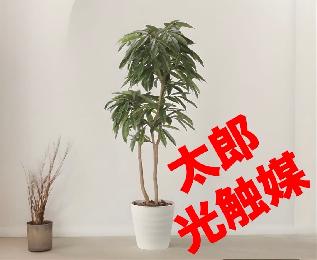 光触媒　人工観葉植物　フェイクグリーン　アムステルラバーキング1.8