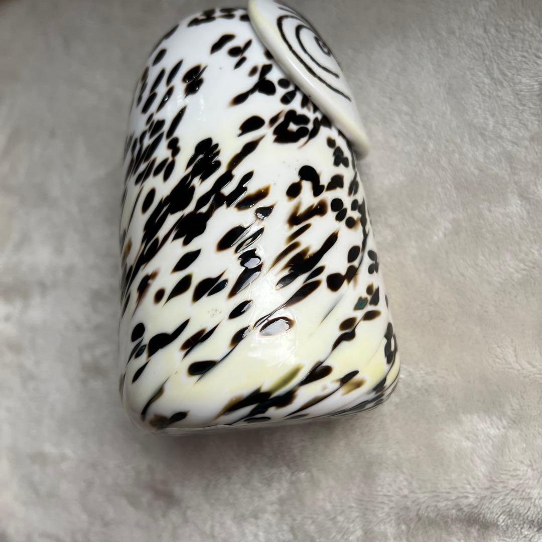 イッタラ シロフクロウ  y owl