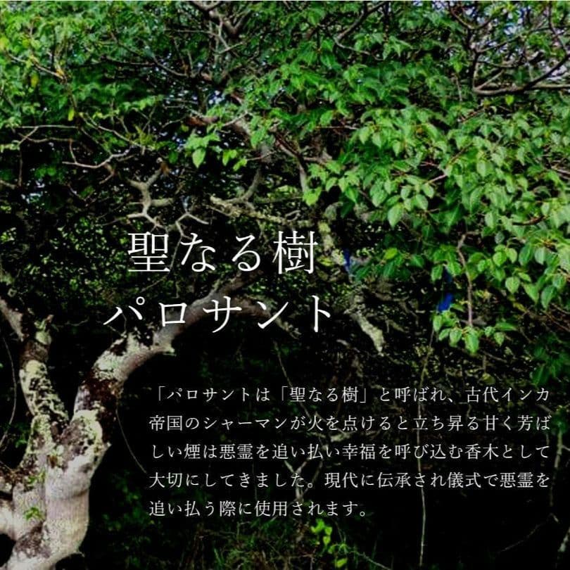 1kg★限定特選品★希少レア激安☆聖なる樹【神秘的な香り♢バロサントウッド香】♥