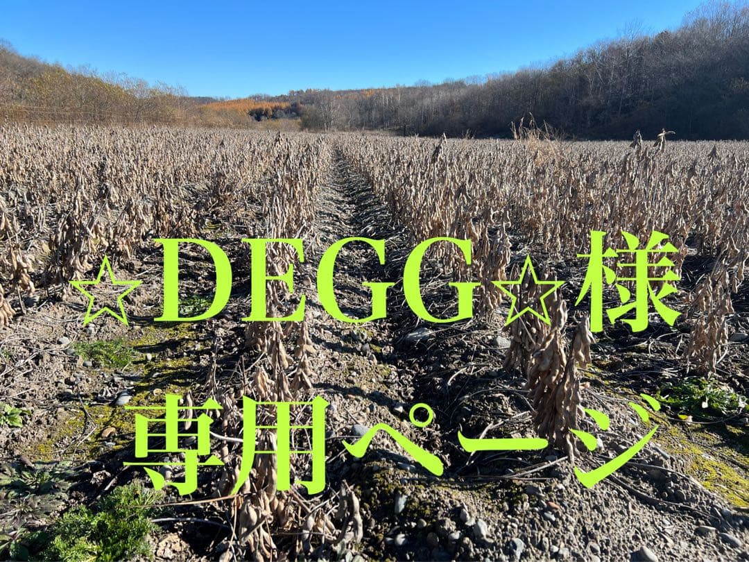 ⭐︎DEGG⭐︎ページ