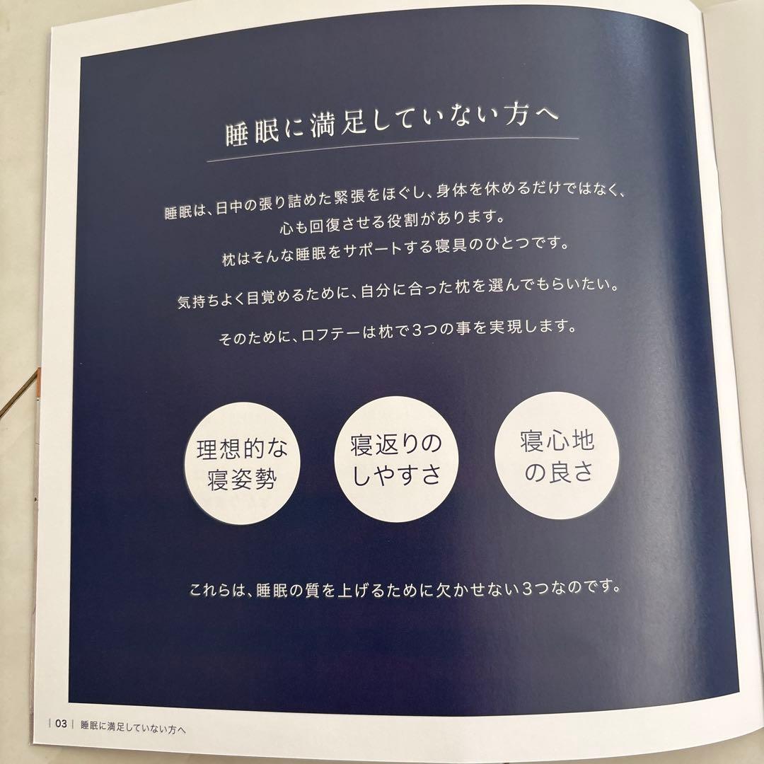 丸洗い可能　ロフテー5セルピローパイプ　枕3号