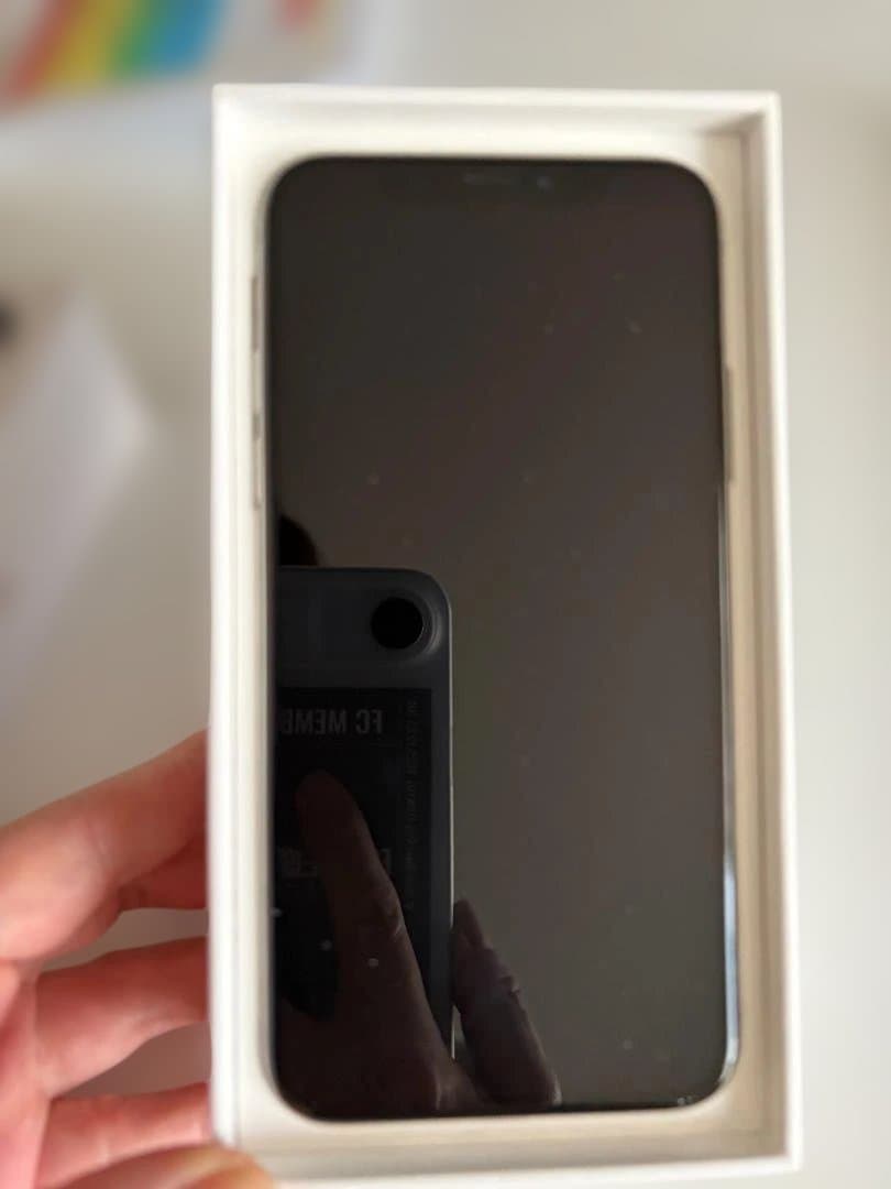 Apple iPhone X 256GB SIMロックフリー 本体