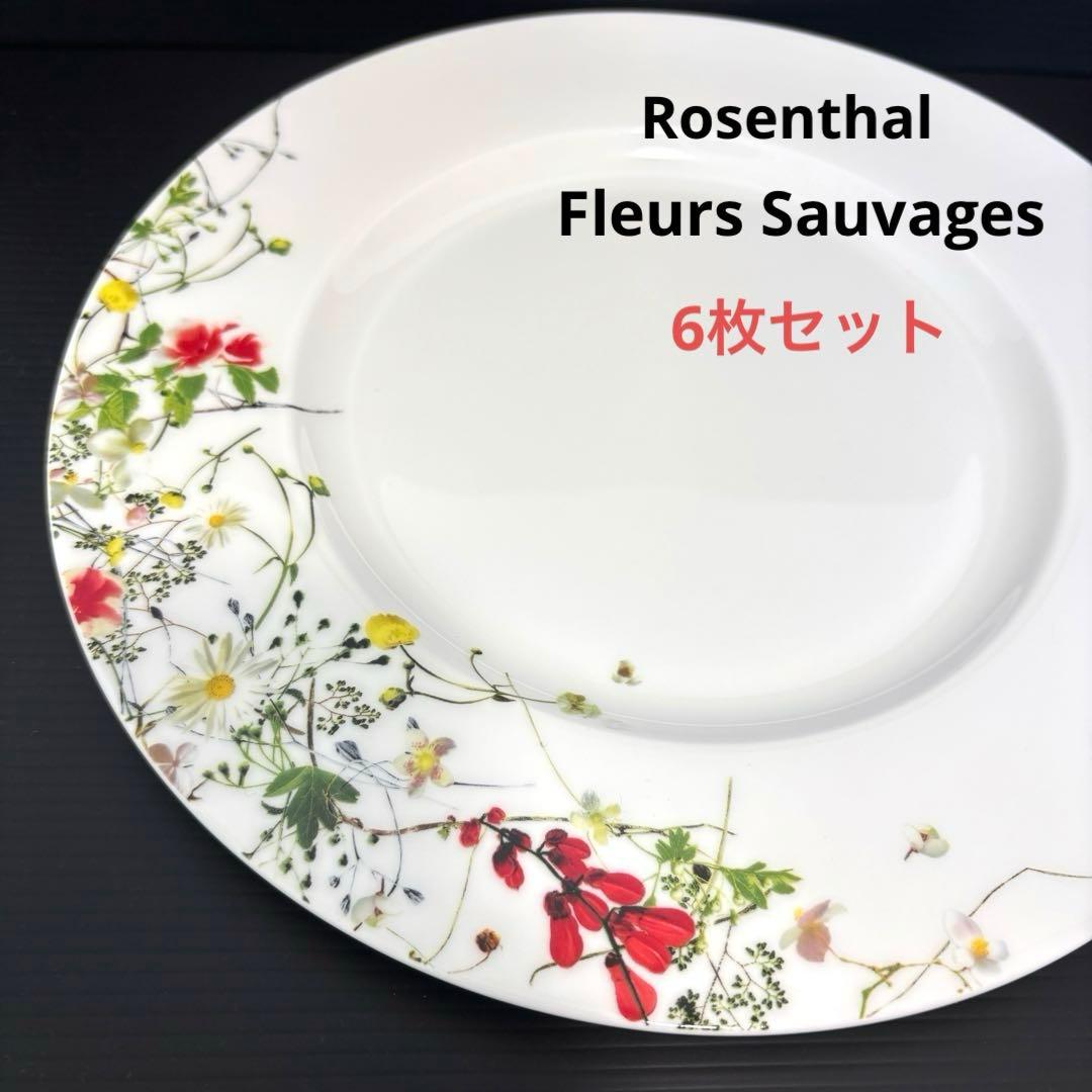 ローゼンタール フルールソヴァージュ 野花 28cm プレート皿 6枚セット