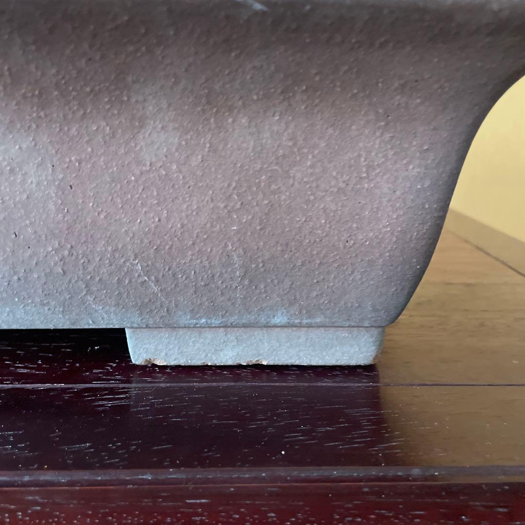 【落款あり】盆栽鉢 常滑 山秋造 松泉焼 紫泥 長方外縁泥物 43cm