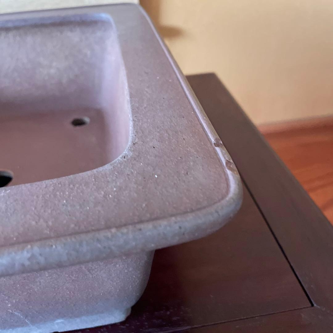 【落款あり】盆栽鉢 常滑 山秋造 松泉焼 紫泥 長方外縁泥物 43cm