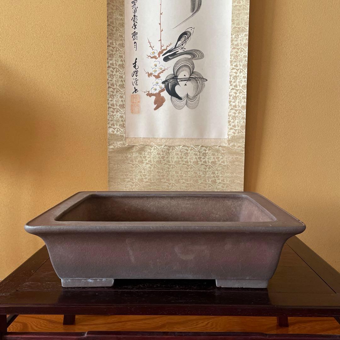 【落款あり】盆栽鉢 常滑 山秋造 松泉焼 紫泥 長方外縁泥物 43cm