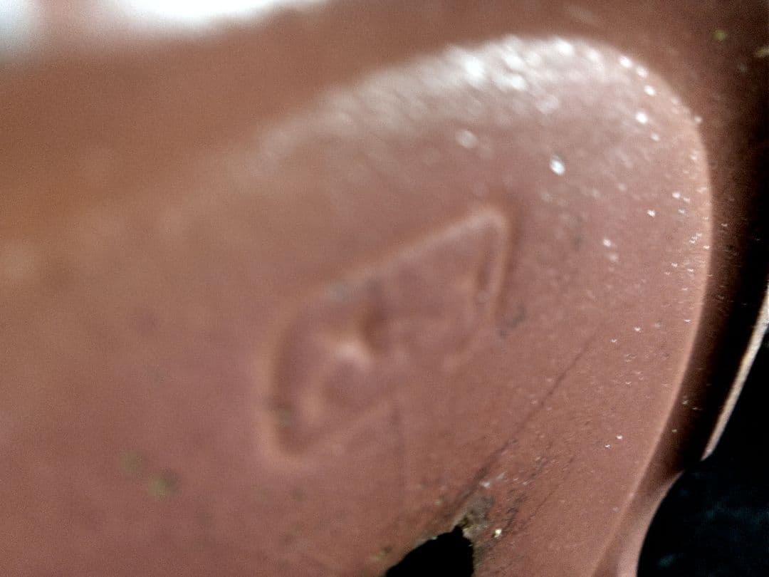 【山採り 糸魚川真柏盆栽】　　　　　　　　　⭕9枚目完成❗培養中…