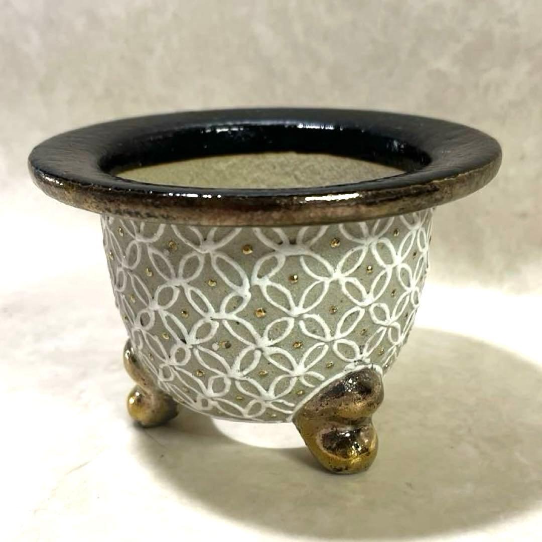 【京楽焼】金彩蘭鉢　盆栽鉢　植木鉢　おもと鉢　多肉サボテンにも