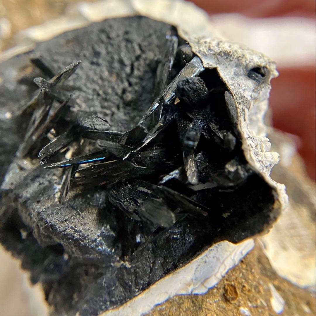 希少 ヴィヴィアナイト シェルフォッシル 藍鉄鉱 貝化石 原石 標本 118g