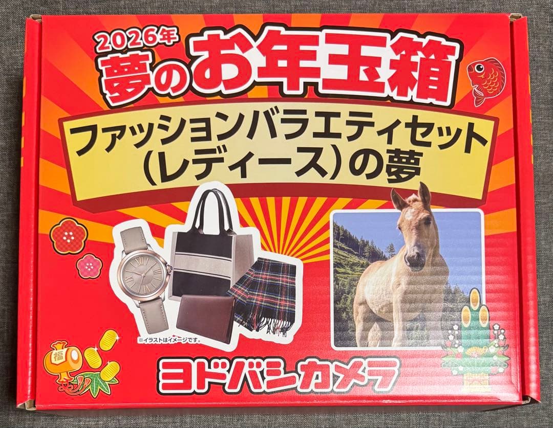 ヨドバシカメラ 福袋 ファッションバラエティセット（レディース）の夢