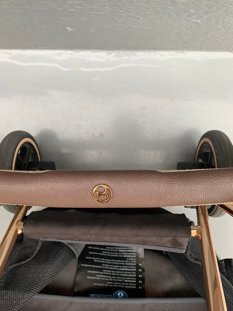 サイベックス　ミオス（ローズゴールド）　※フレームのみ