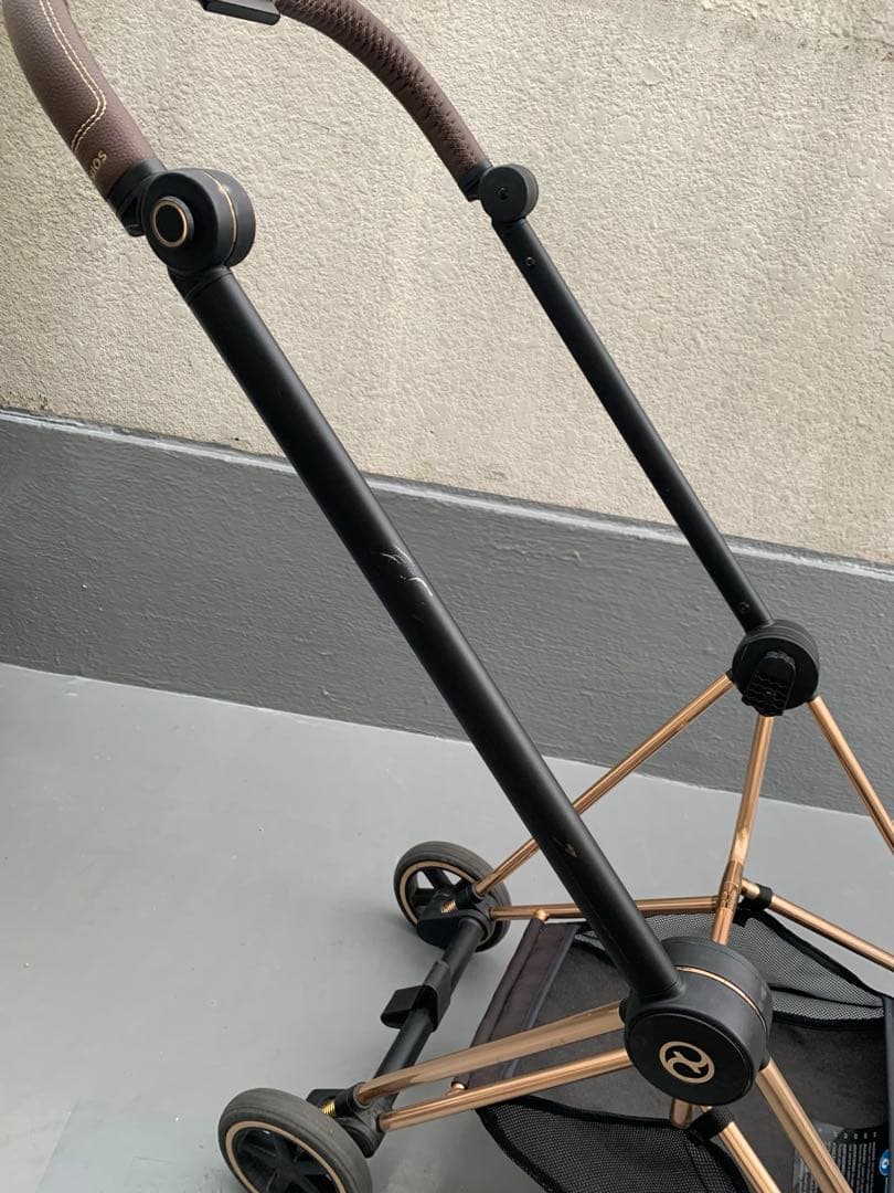 サイベックス　ミオス（ローズゴールド）　※フレームのみ