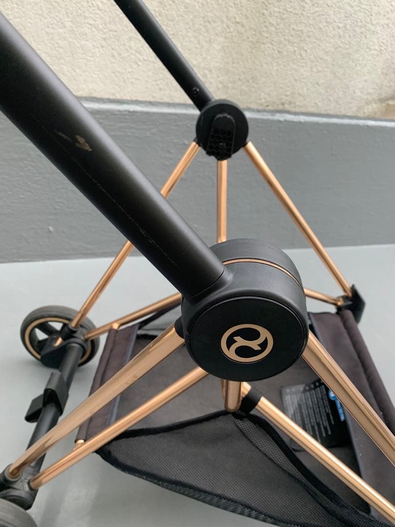 サイベックス　ミオス（ローズゴールド）　※フレームのみ