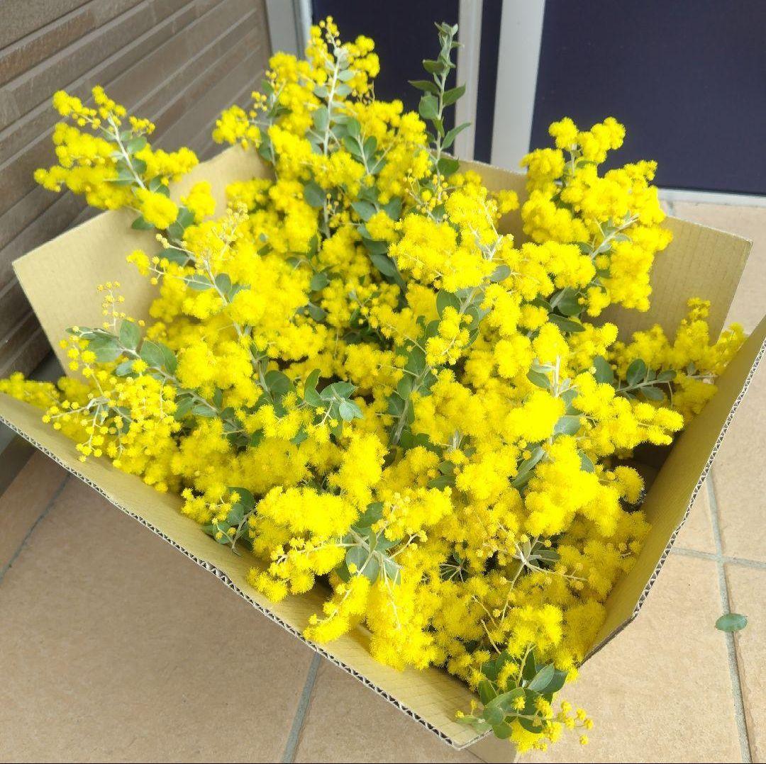 kukkakori*オーダーページ2箱