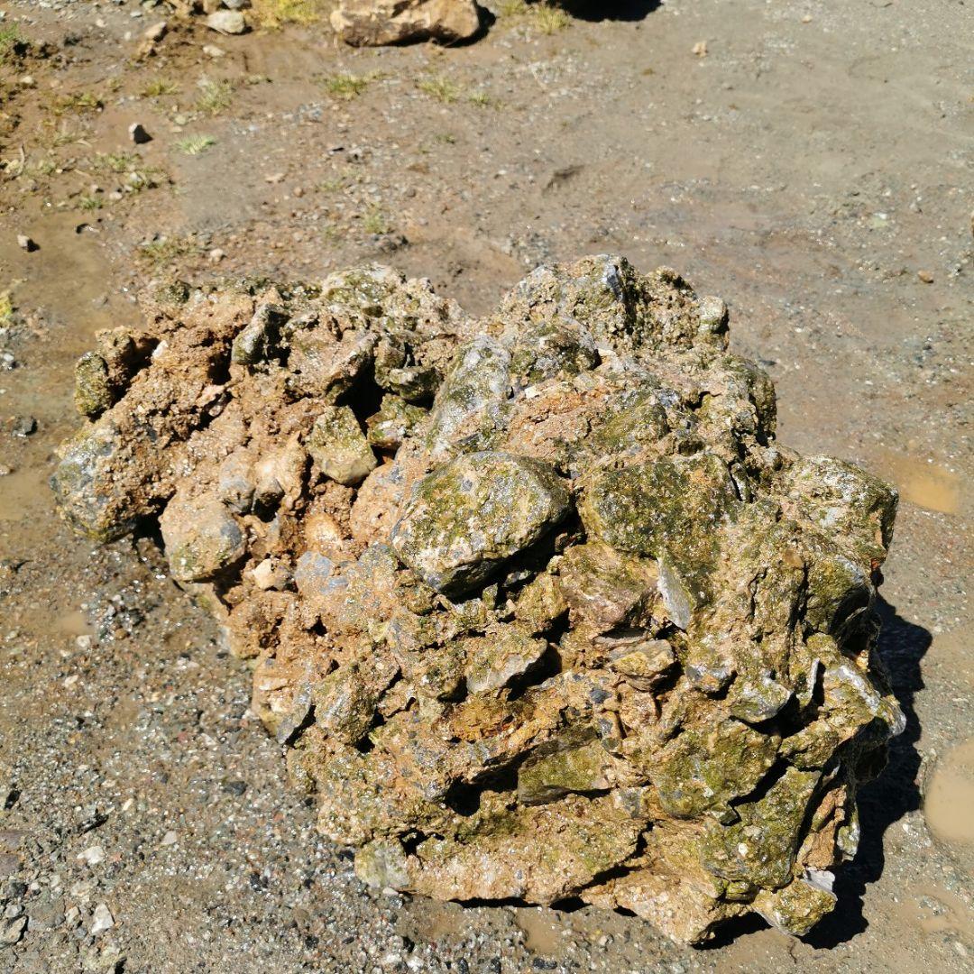 岐阜県　揖斐川産　さざれ石　64キロ　庭石　鑑賞石　石　庭　坪庭　ガーデニング