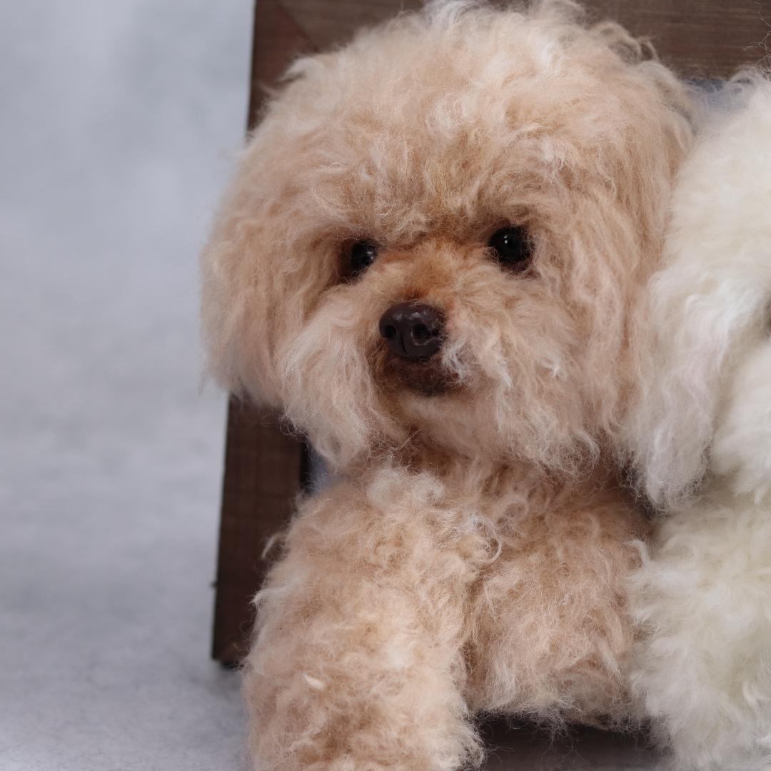 羊毛フェルト いおさま　トイプー　フレーム　ハンドメイド　オーダー