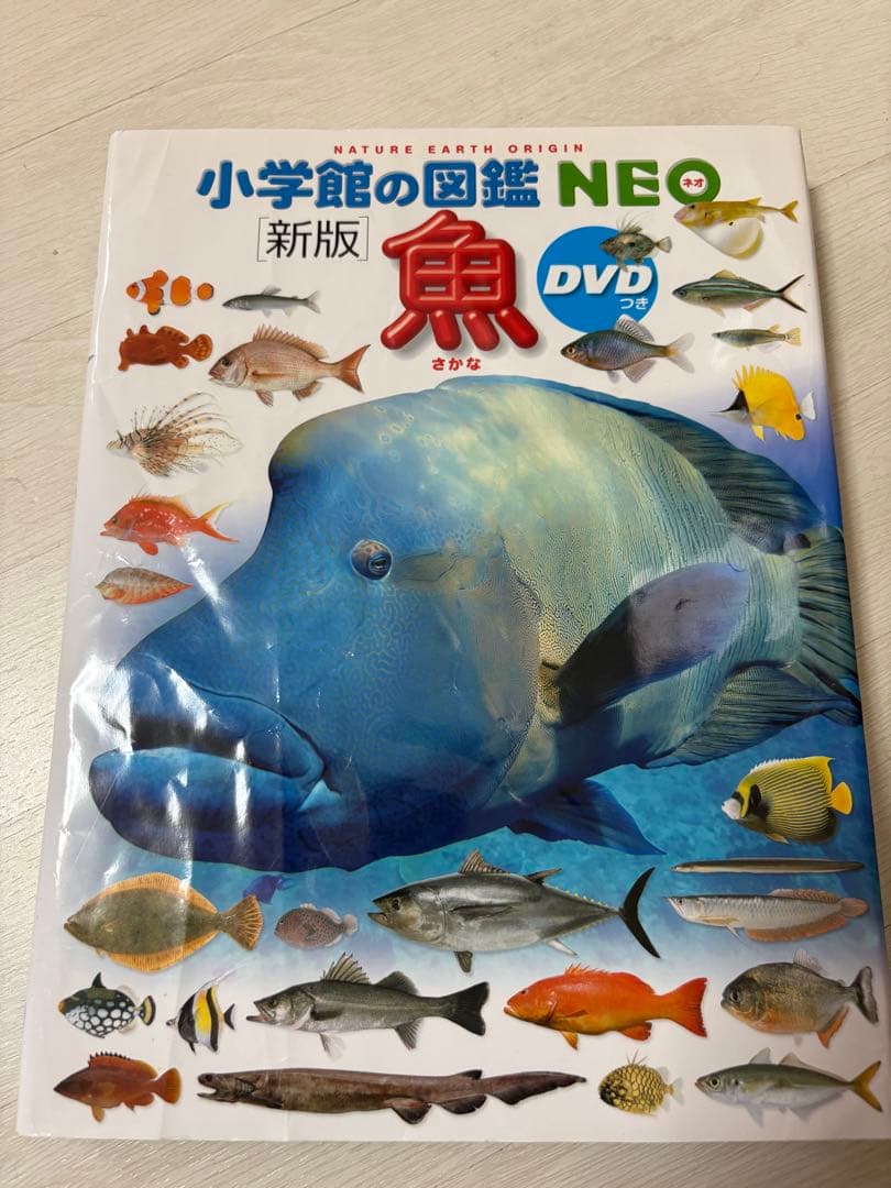 小学館の図鑑NEO 全20巻 DVD付き　まとめ売り