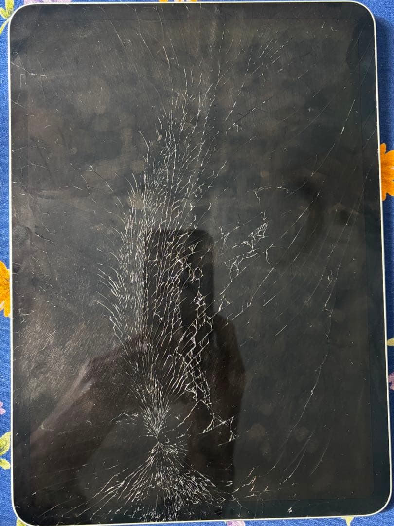 液晶・タッチOK iPad Pro 11 第1世代 画面割れ FaceID不可