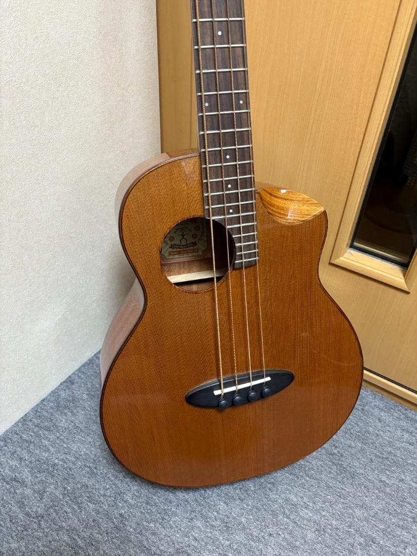 アヌエヌエ(aNueNue) aNN-MBS14E ミニ・アコースティックベース