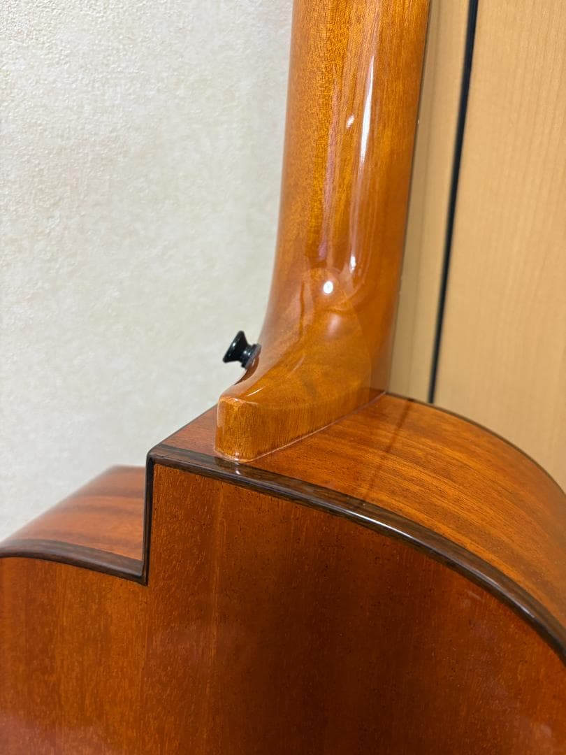 アヌエヌエ(aNueNue) aNN-MBS14E ミニ・アコースティックベース