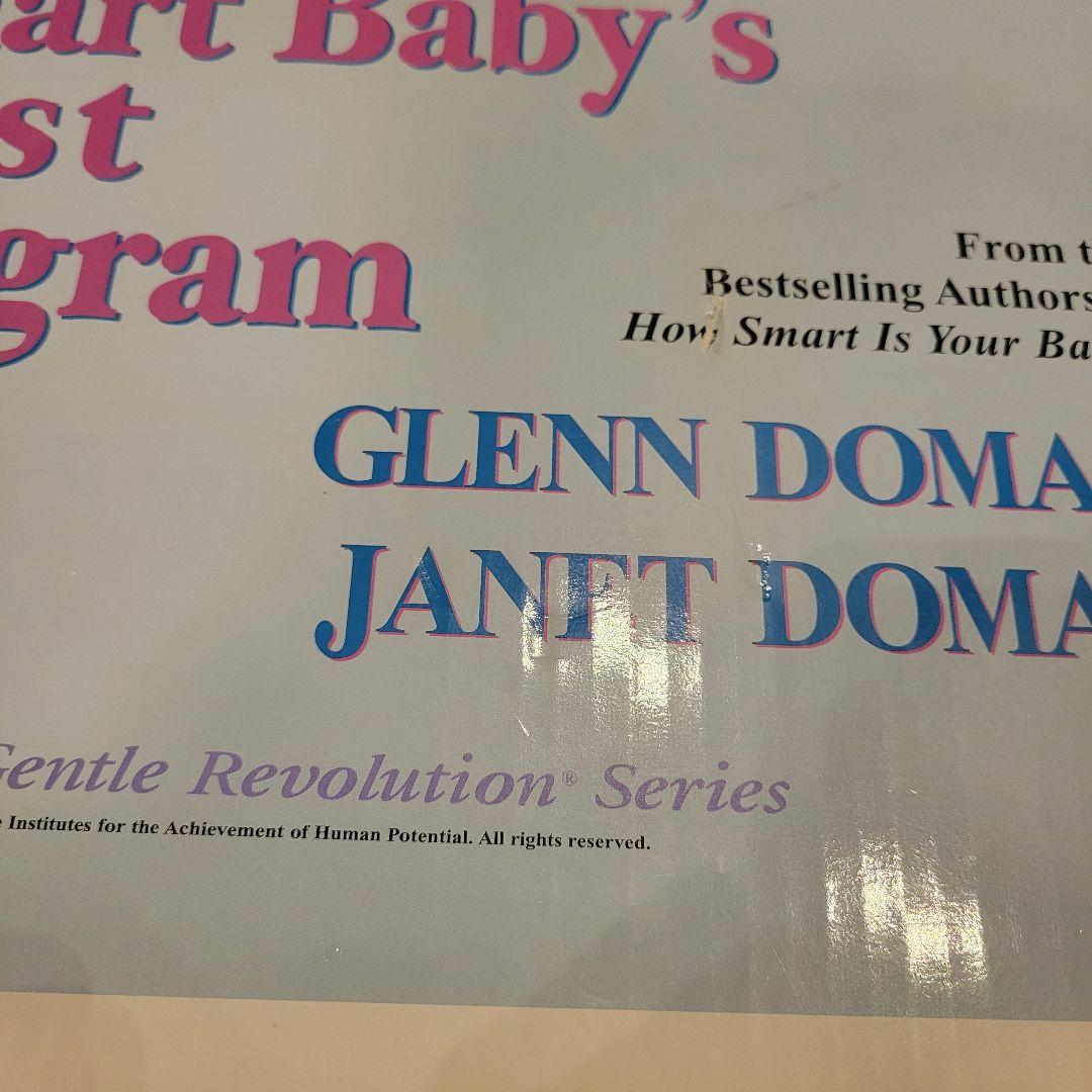 知育玩具 Your Smart Baby's First Program