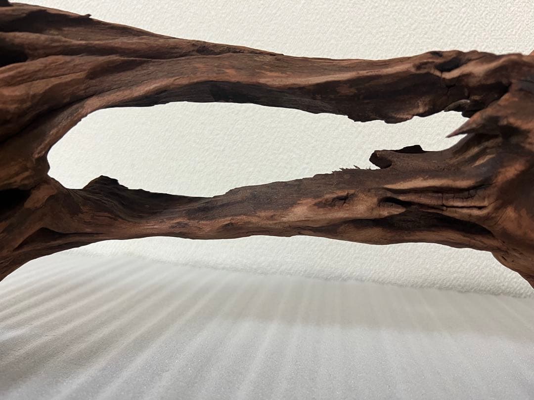 HX-081 流木　ホーンウッド　マシンガンウッド　アクアリウム　ブランチウッド