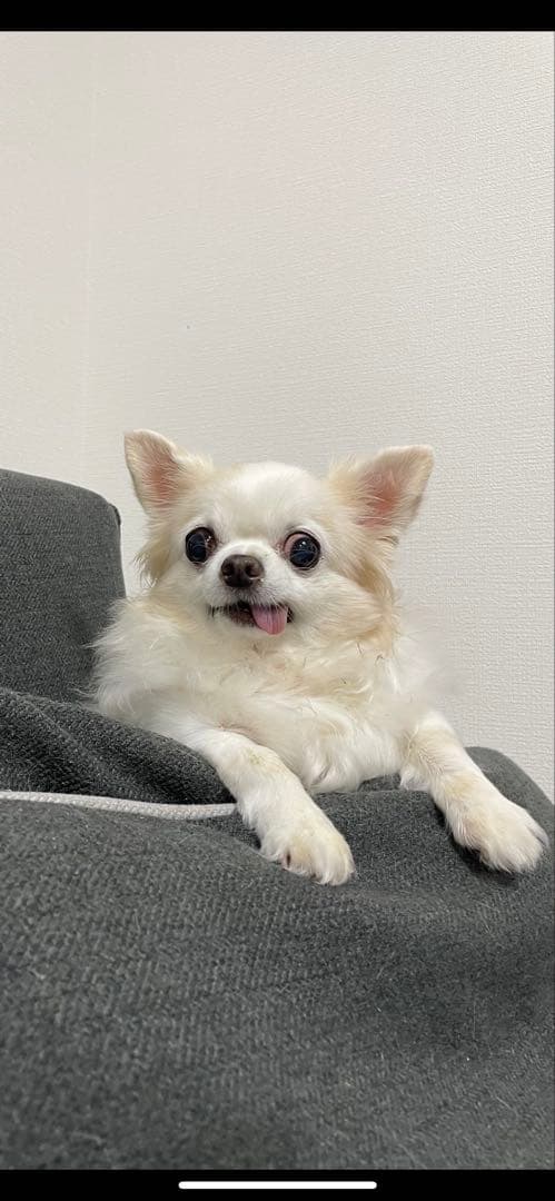 画像確認用　顔2