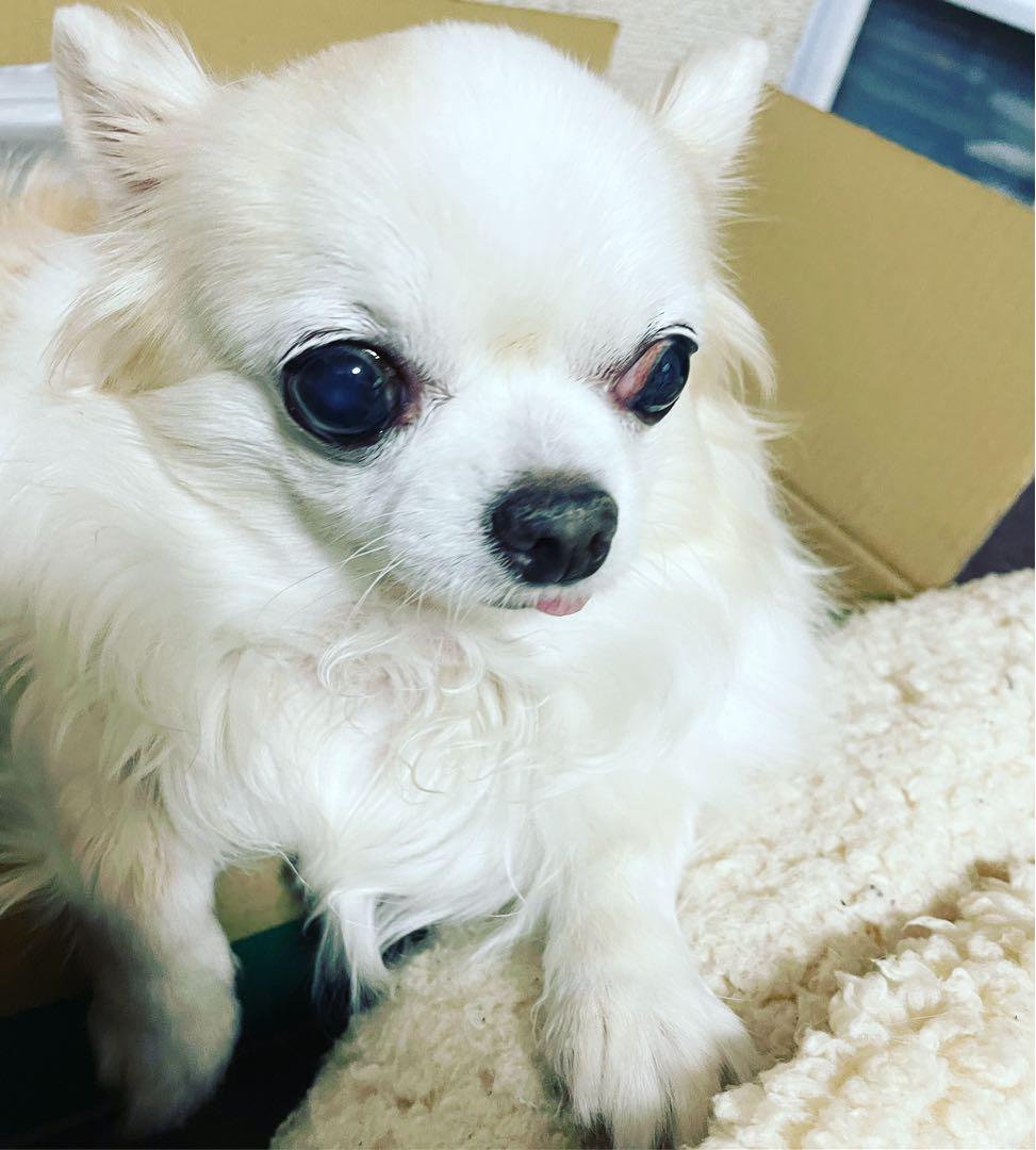 画像確認用　顔2