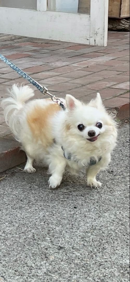 画像確認用　顔2